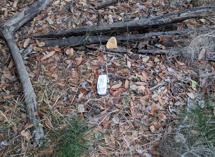 Latex balloon on the ground