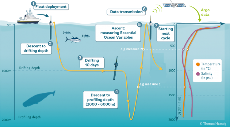 Diagram of float life cycle