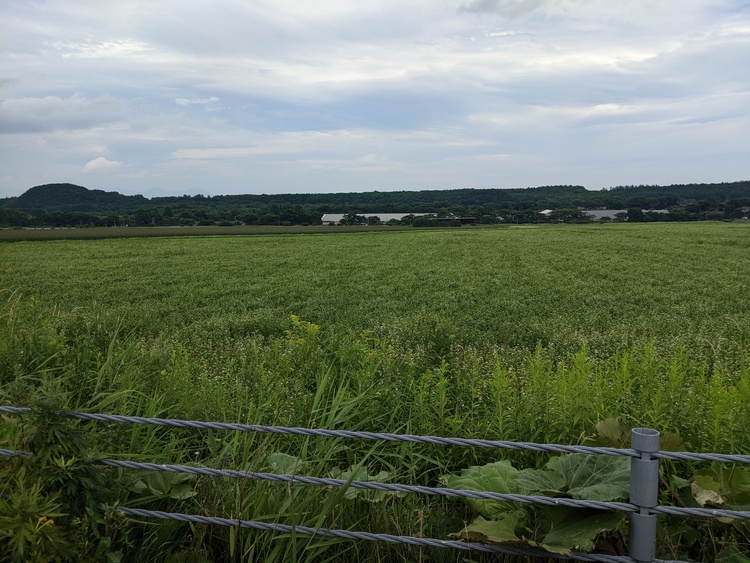 Sapporo radiosonde landing field